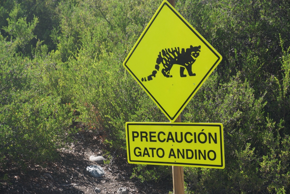 Signage on the road leading to the Vizcachitas copper exploration site. Photo: Author