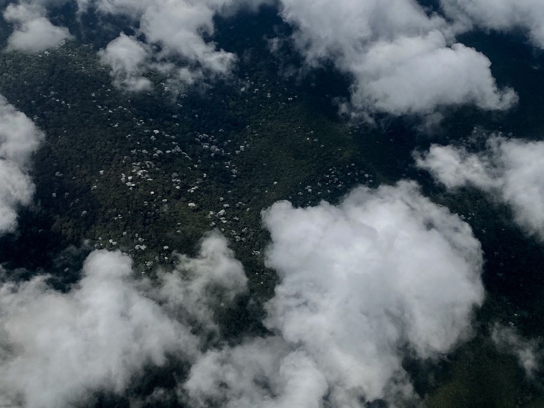 Una rana en el bosque de niebla: argumentos en contra la minería en Ecuador