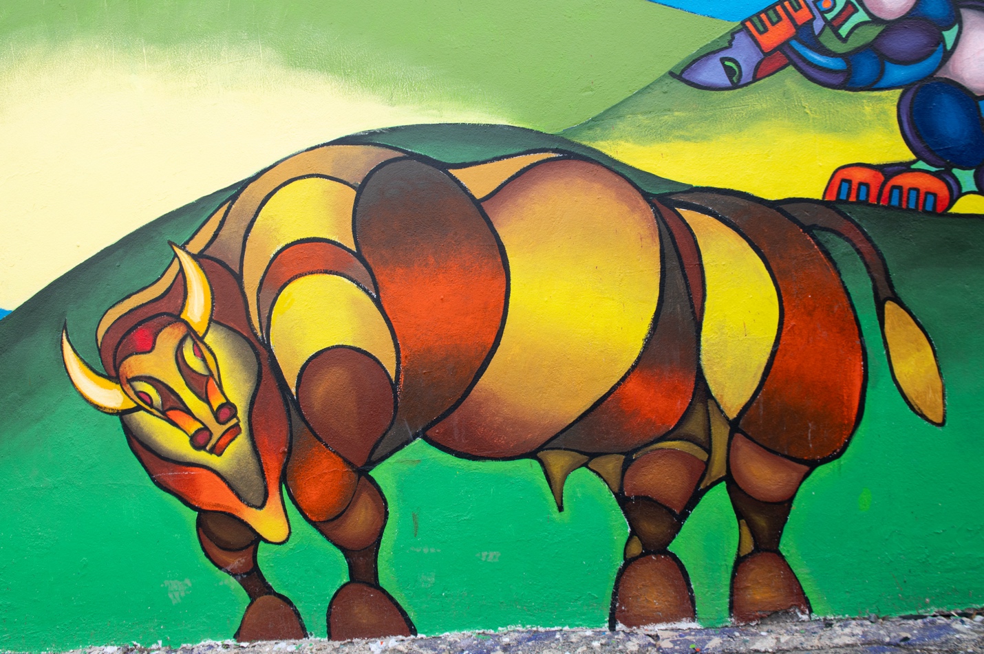 A bison or buffalo, native to North America. Photo by Erin Blewett.