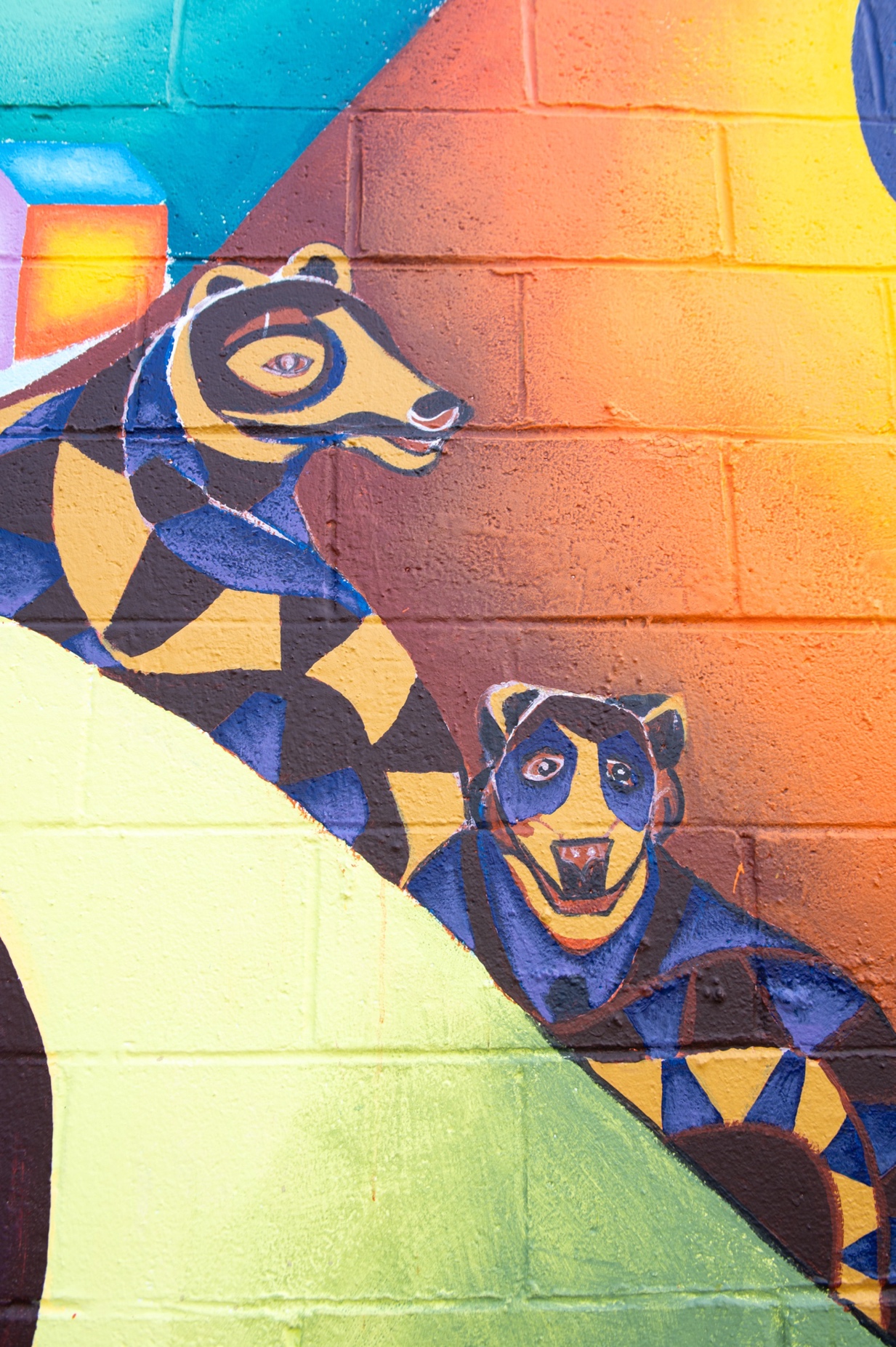 Bears, a mammal inhabiting both North and South America. Photo by Erin Blewett.