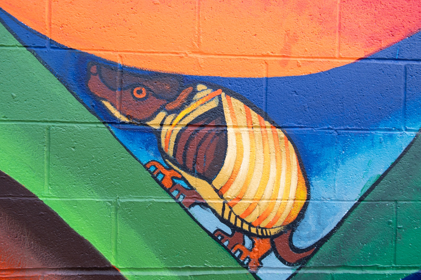 An armadillo, originally from South America—although there are now many in the United States. In 2022, Bolivia declared the endangered armadillo or the quirquincho, as part of its natural heritage to increase conservation efforts.[^12] Photo by Erin Blewett.