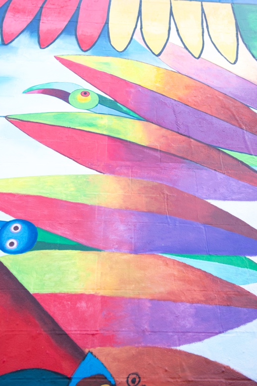 Coca leaves adorning the Pachamama. Photo by Erin Blewett.