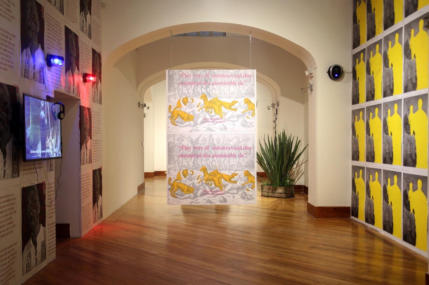 Installation Views of Raiz at the Center of Contemporary Art Quito, Ecuador.